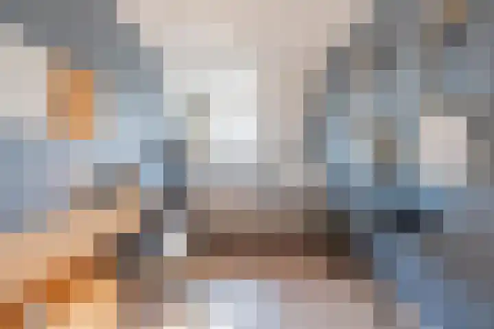 Bronkhorsttoren 2 Buren thumbnail 55