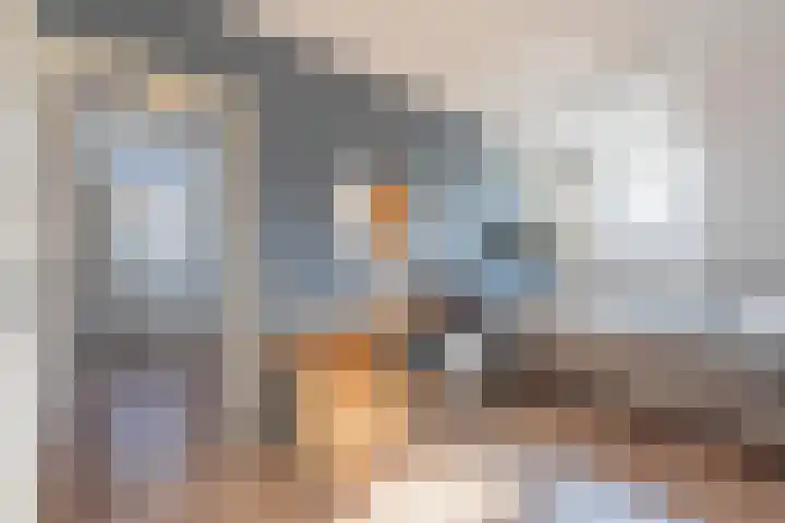 Bronkhorsttoren 2 Buren thumbnail 56