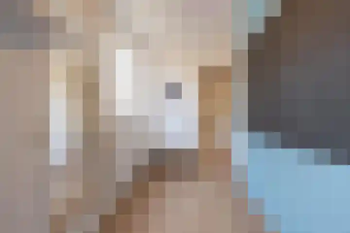 Bronkhorsttoren 2 Buren thumbnail 58