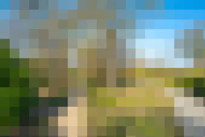 Bronkhorsttoren 2 Buren thumbnail 6