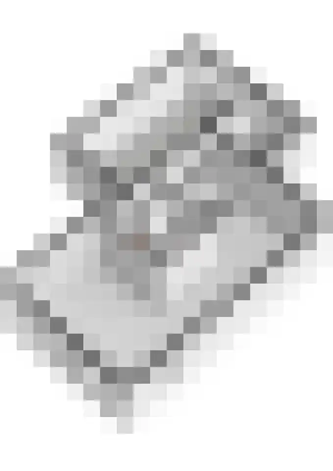 Bronkhorsttoren 2 Buren thumbnail 69