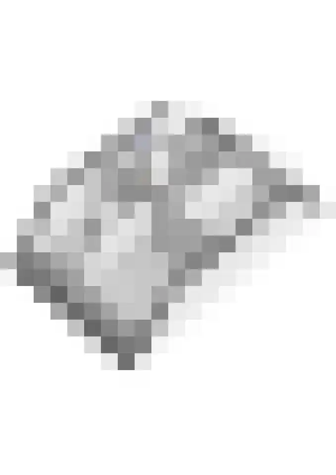 Bronkhorsttoren 2 Buren thumbnail 71