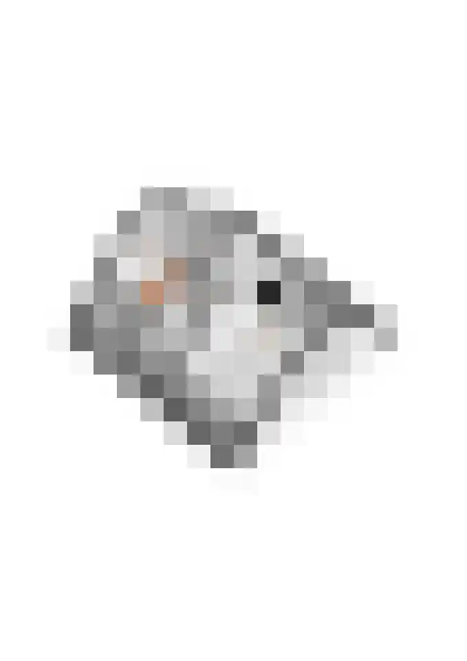 Bronkhorsttoren 2 Buren thumbnail 73