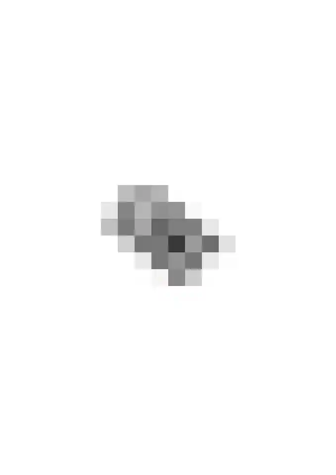 Bronkhorsttoren 2 Buren thumbnail 75
