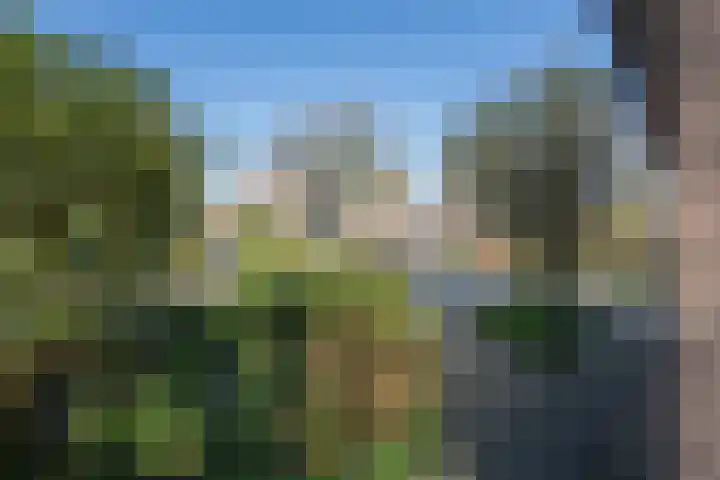 Bronkhorsttoren 2 Buren thumbnail 9