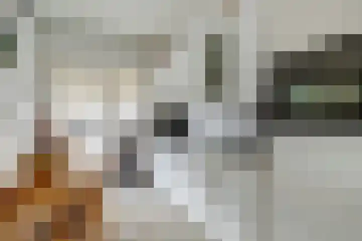 Bronkhorstweg 4 Velp thumbnail 12
