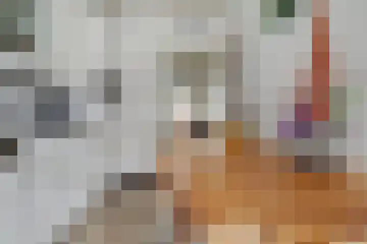 Bronkhorstweg 4 Velp thumbnail 13