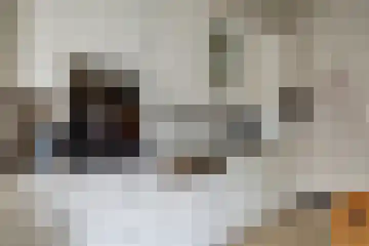 Bronkhorstweg 4 Velp thumbnail 14