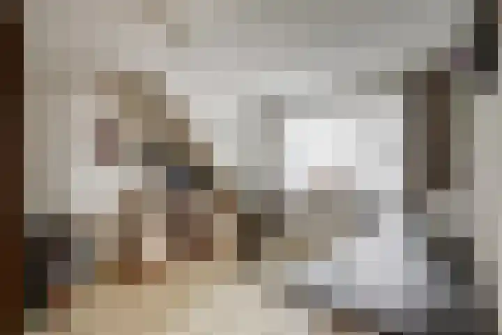 Bronkhorstweg 4 Velp thumbnail 21