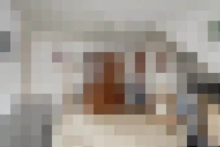 Bronkhorstweg 4 Velp thumbnail 22
