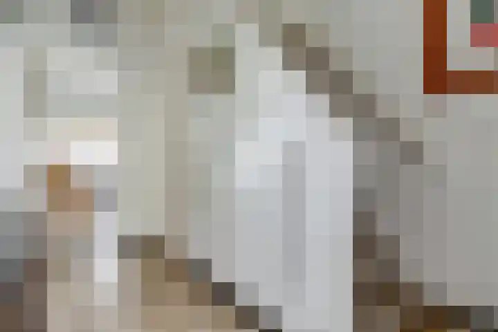 Bronkhorstweg 4 Velp thumbnail 6