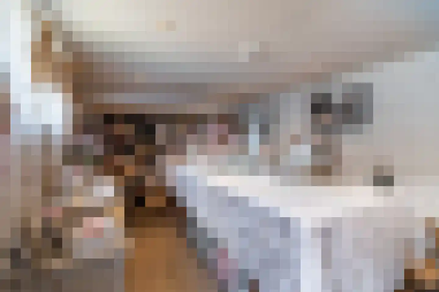 Bronkstraat 31 Heerlen thumbnail 21