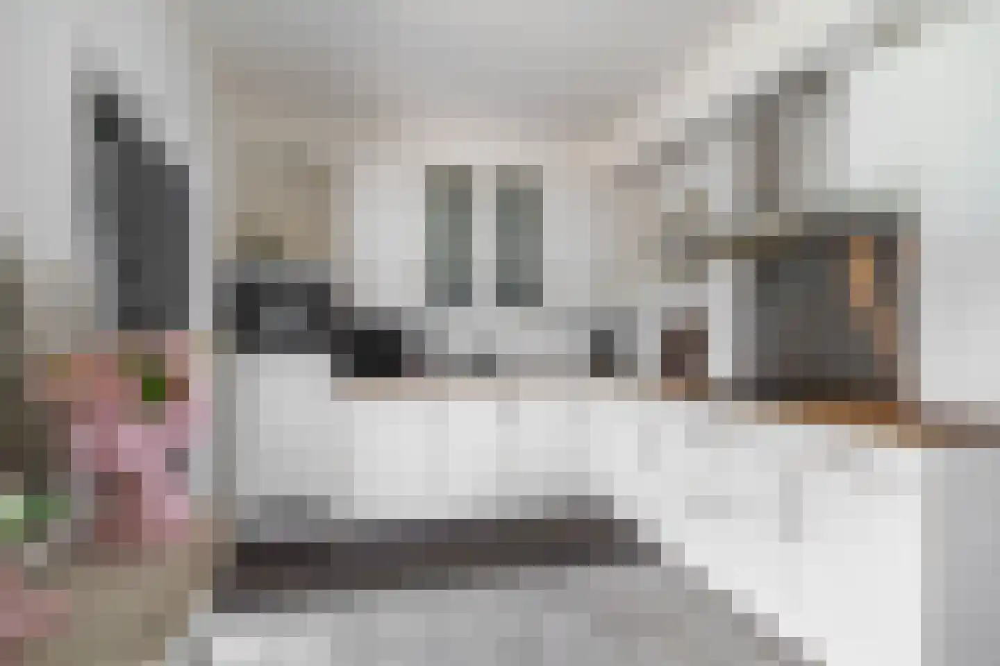 Bronkstraat 31 Heerlen thumbnail 9