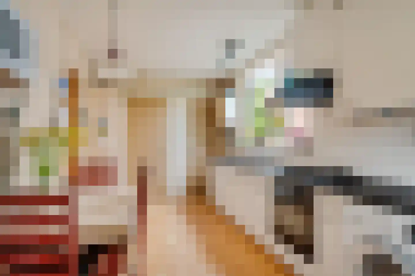 Bronlaan 32 Dokkum thumbnail 12