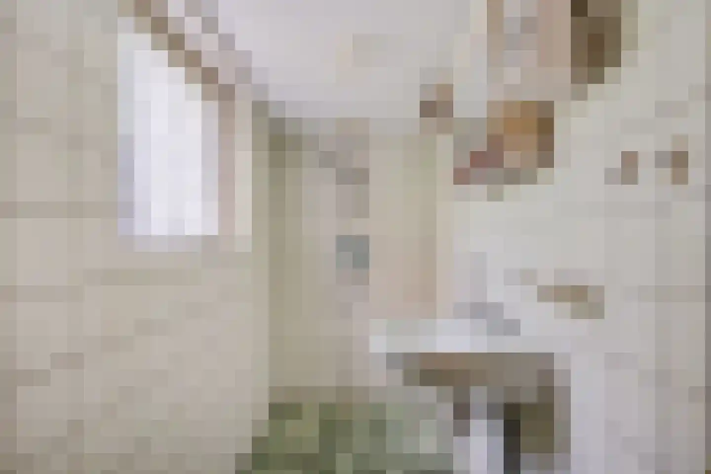 Bronlaan 32 Dokkum thumbnail 14
