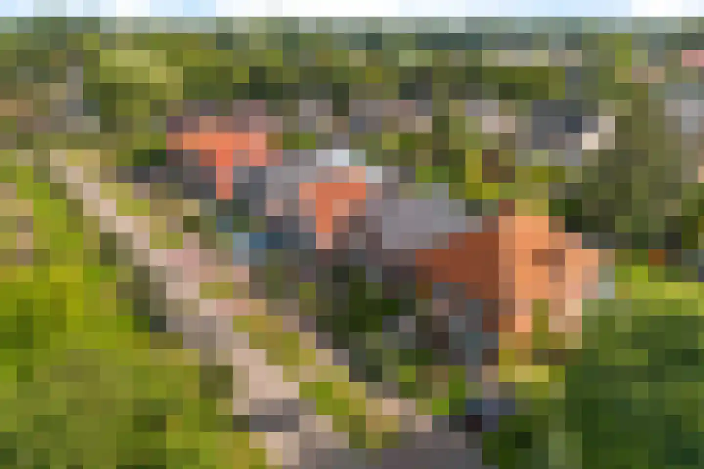 Bronlaan 32 Dokkum thumbnail 28