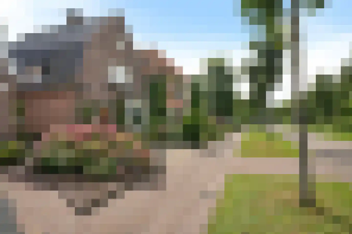 Bronlaan 32 Dokkum thumbnail 31