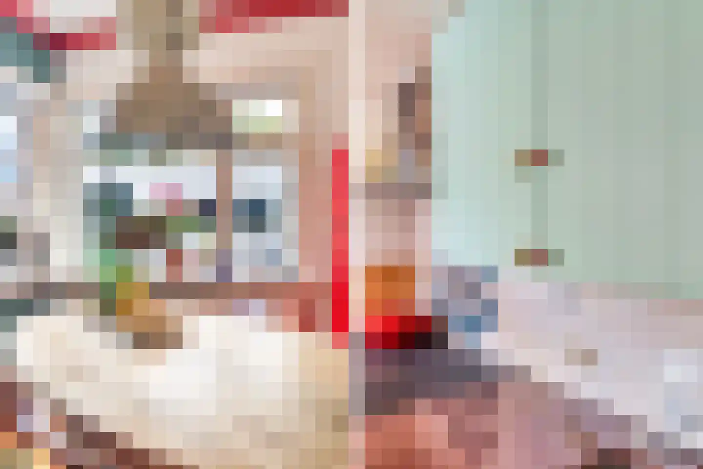 Bronlaan 4 Dokkum thumbnail 21