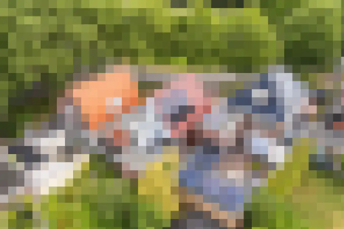 Bronlaan 4 Dokkum thumbnail 40