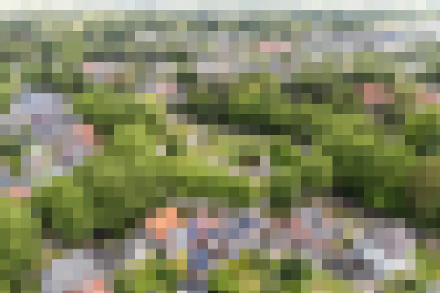 Bronlaan 4 Dokkum thumbnail 42