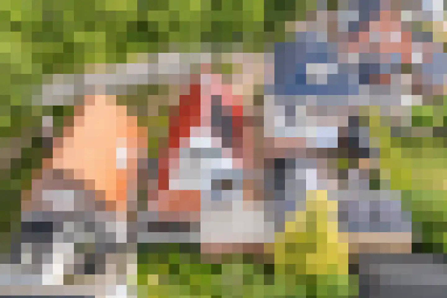 Bronlaan 4 Dokkum thumbnail 6
