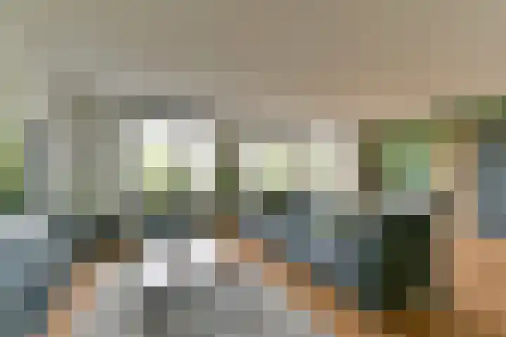 Bronmos 14 Houten thumbnail 10