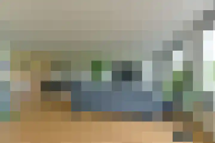Bronmos 14 Houten thumbnail 14