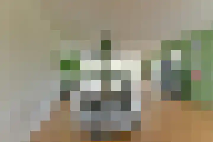 Bronmos 14 Houten thumbnail 19
