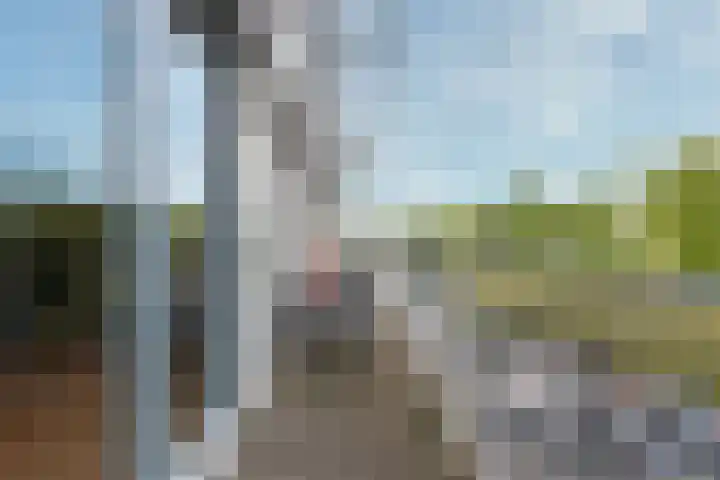 Bronmos 14 Houten thumbnail 23