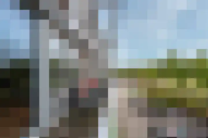 Bronmos 14 Houten thumbnail 24
