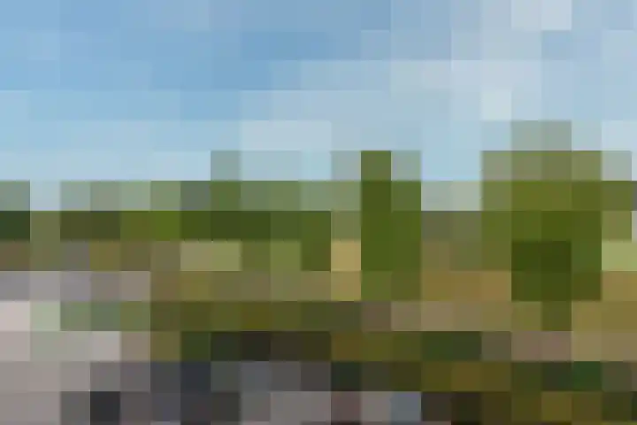 Bronmos 14 Houten thumbnail 25