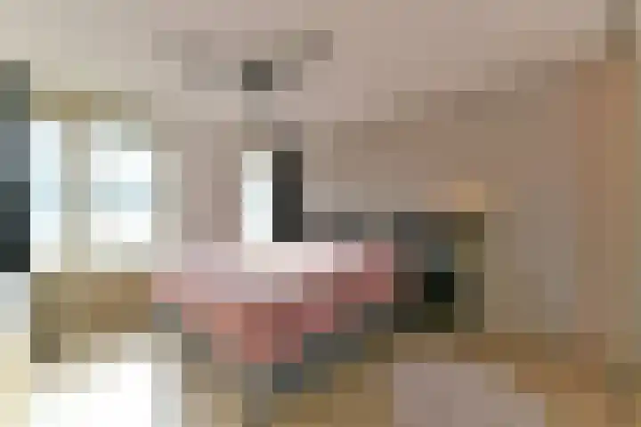 Bronmos 14 Houten thumbnail 27