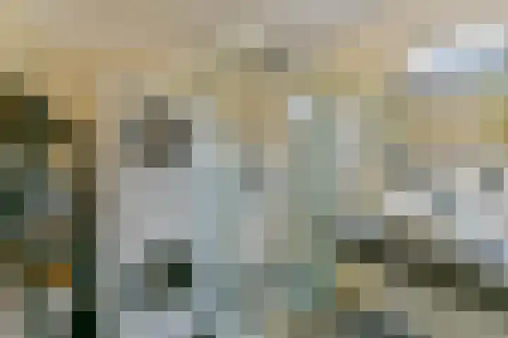 Bronmos 14 Houten thumbnail 32