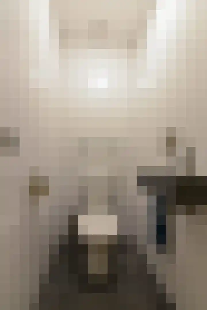 Bronmos 14 Houten thumbnail 33