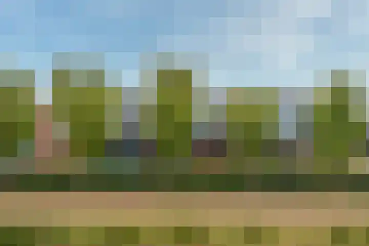 Bronmos 14 Houten thumbnail 36