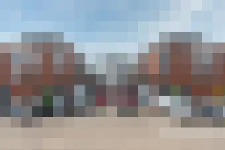 Bronmos 14 Houten thumbnail 37