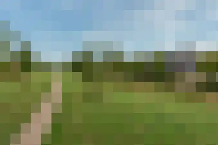 Bronmos 14 Houten thumbnail 39