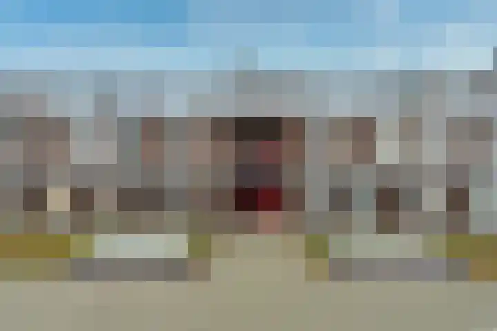 Bronmos 14 Houten thumbnail 4