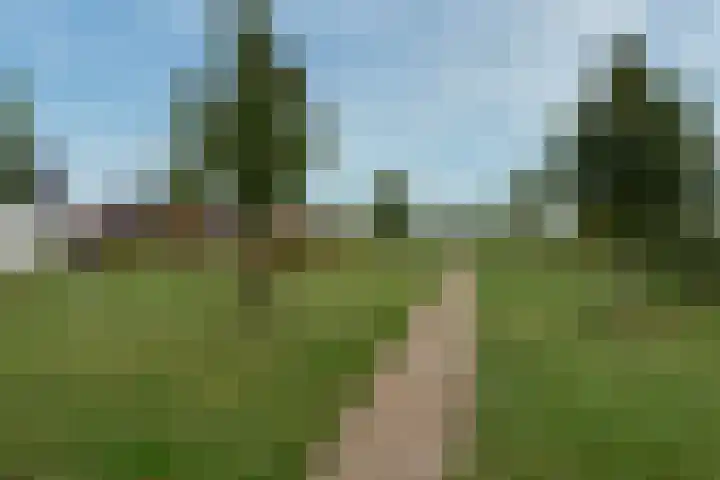 Bronmos 14 Houten thumbnail 40