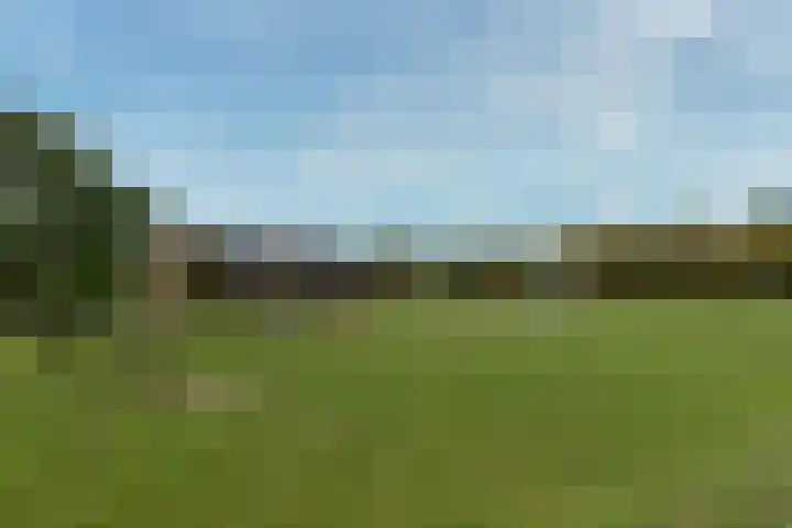 Bronmos 14 Houten thumbnail 41