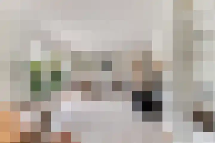 Bronmos 25 Reeuwijk thumbnail 20