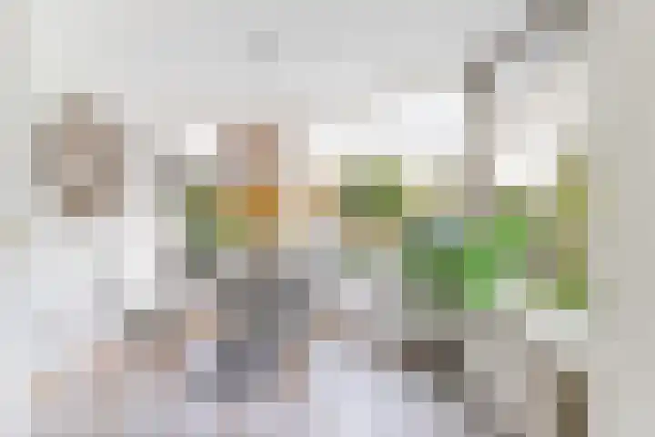 Bronmos 25 Reeuwijk thumbnail 24