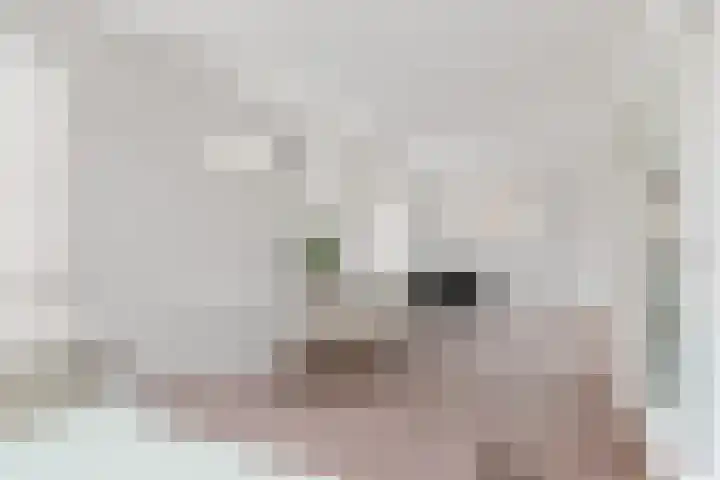 Bronmos 25 Reeuwijk thumbnail 30