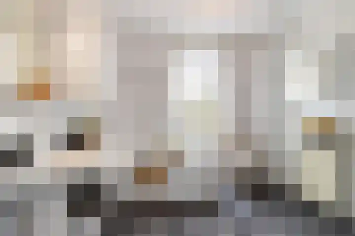 Bronmos 25 Reeuwijk thumbnail 38