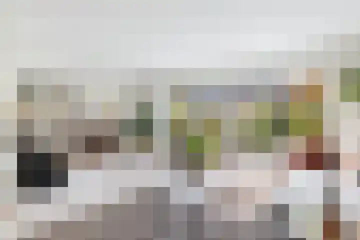 Bronmos 25 Reeuwijk thumbnail 4