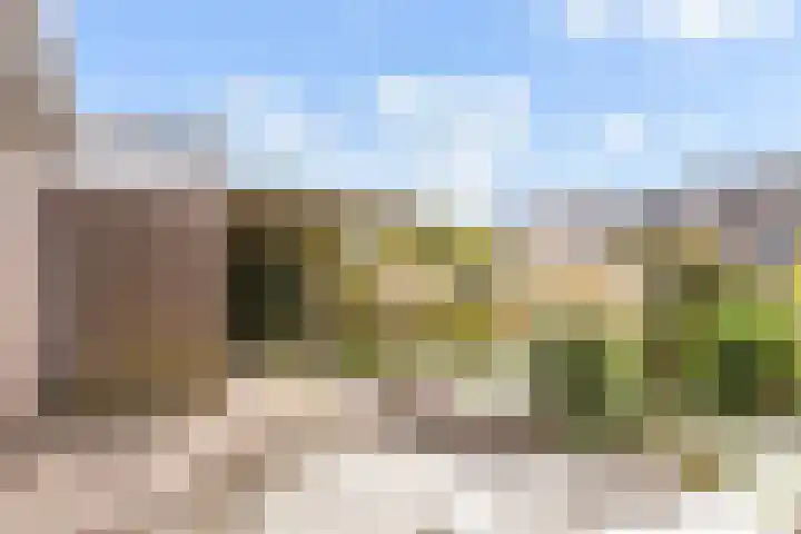 Bronmos 25 Reeuwijk thumbnail 47