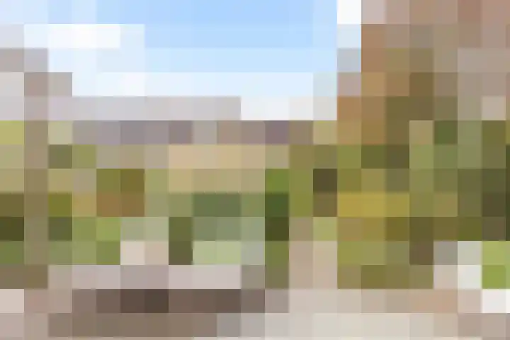 Bronmos 25 Reeuwijk thumbnail 48