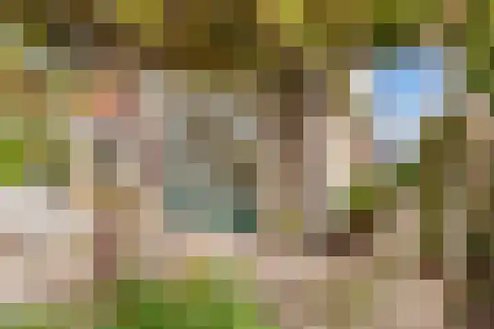 Bronmos 25 Reeuwijk thumbnail 49