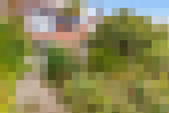 Bronmos 25 Reeuwijk thumbnail 54