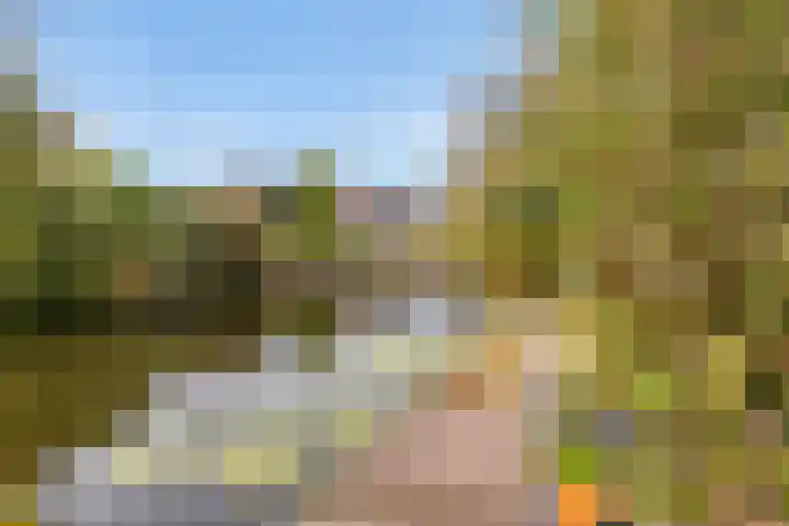 Bronmos 25 Reeuwijk thumbnail 55